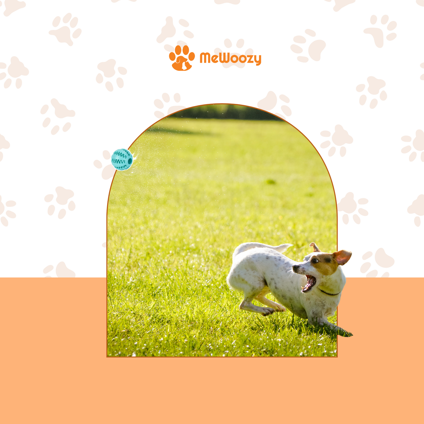 Speelbal Voor Honden – Met Tandenreinigend Effect