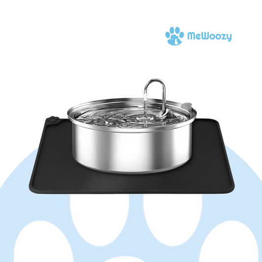 Honden Drinkfontein Met Filters – Voor Meer Hydratie