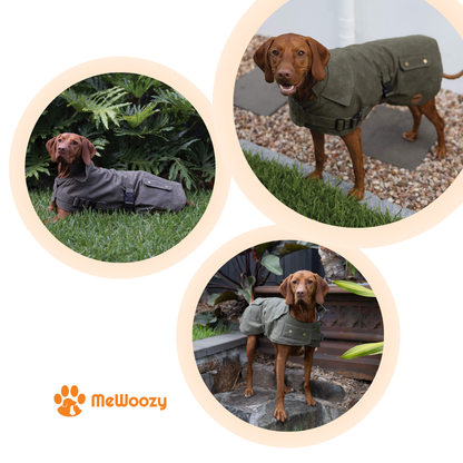 Waterdichte Hondenjas Met Flanelvoering – Voor Natte Wandelingen