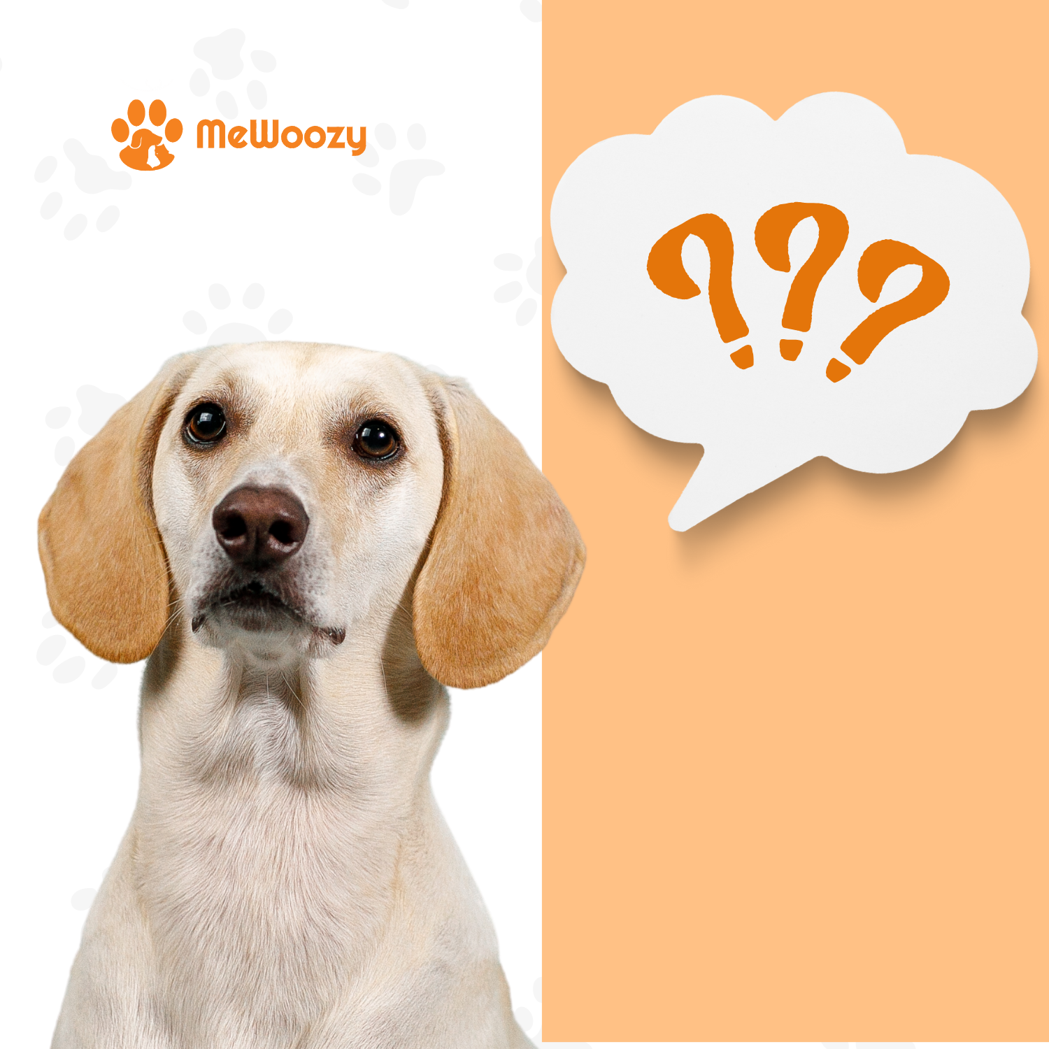 Praatknop hond kopen? Top 3 uitleg hoe het werkt [Lees dit eerst Praatknop hond kopen? Top 3 uitleg hoe het werkt [Lees dit eerst