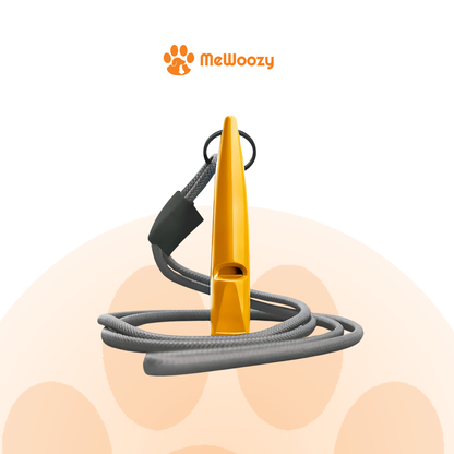 Hondenfluit Met Lanyard – Voor Effectieve Terugroeptraining