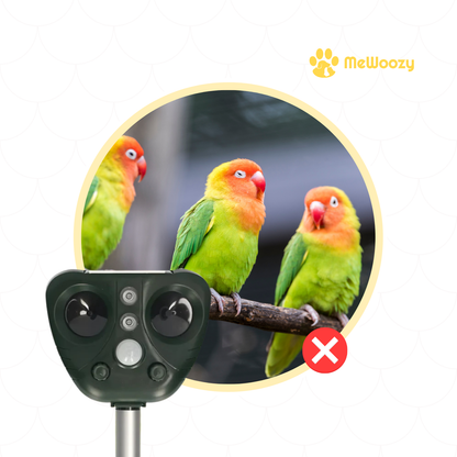 Vogelverjager Op Zonne-Energie – Voor Rustige Buitenruimtes