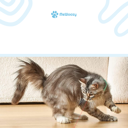 Kattenspeeltje Met LED Licht – Voor Actieve Jachtmomenten
