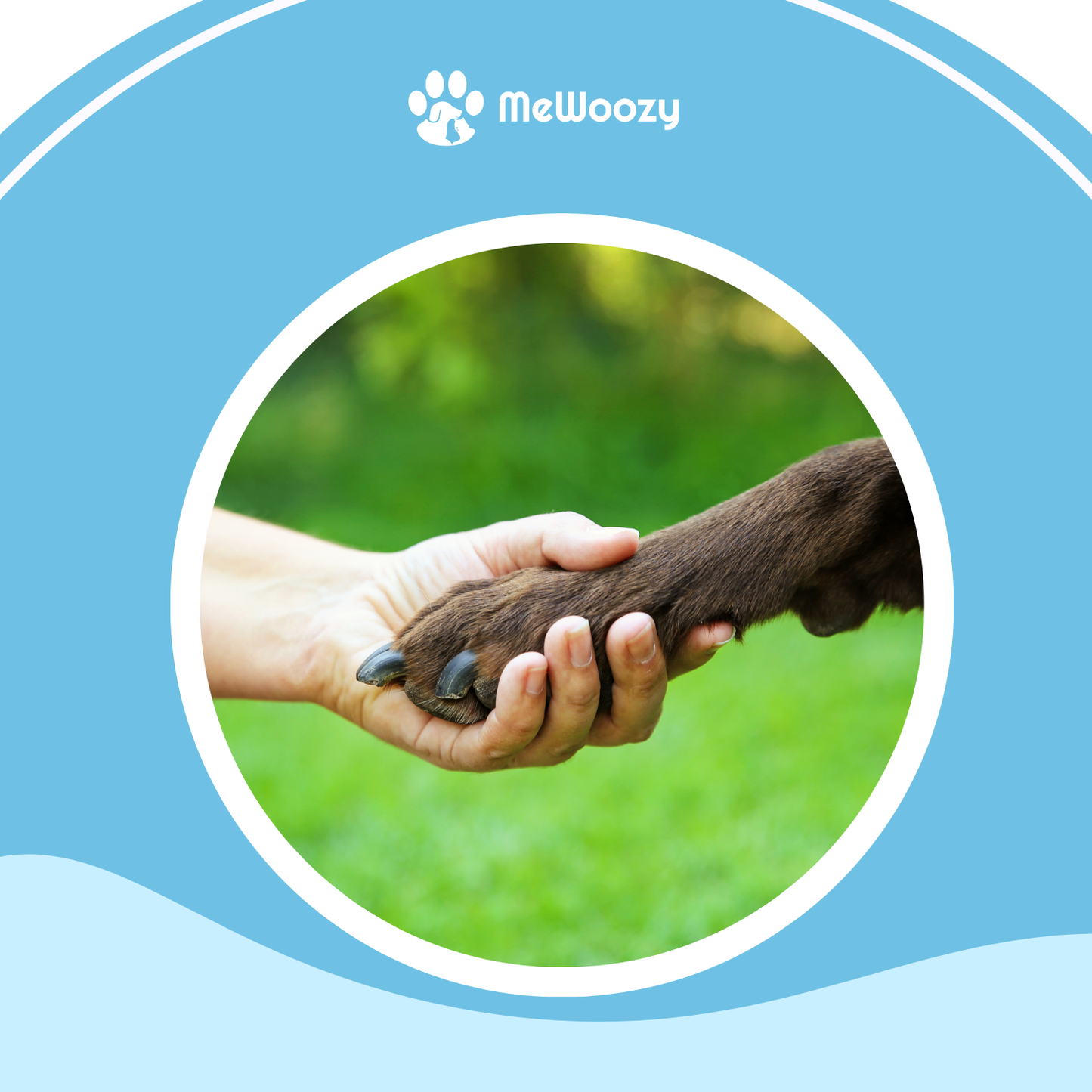 Poot- En Neuszalf Voor Huisdieren – Tegen Droogheid En Barstjes