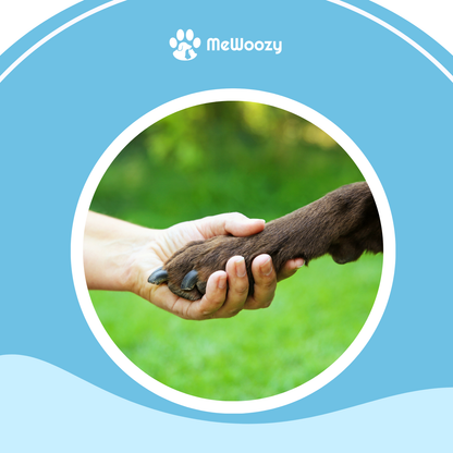 Poot- En Neuszalf Voor Huisdieren – Tegen Droogheid En Barstjes