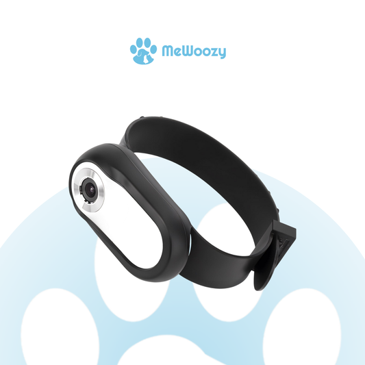 Huisdier Camera Halsband – Voor Video Van Hun Dagelijks Leven