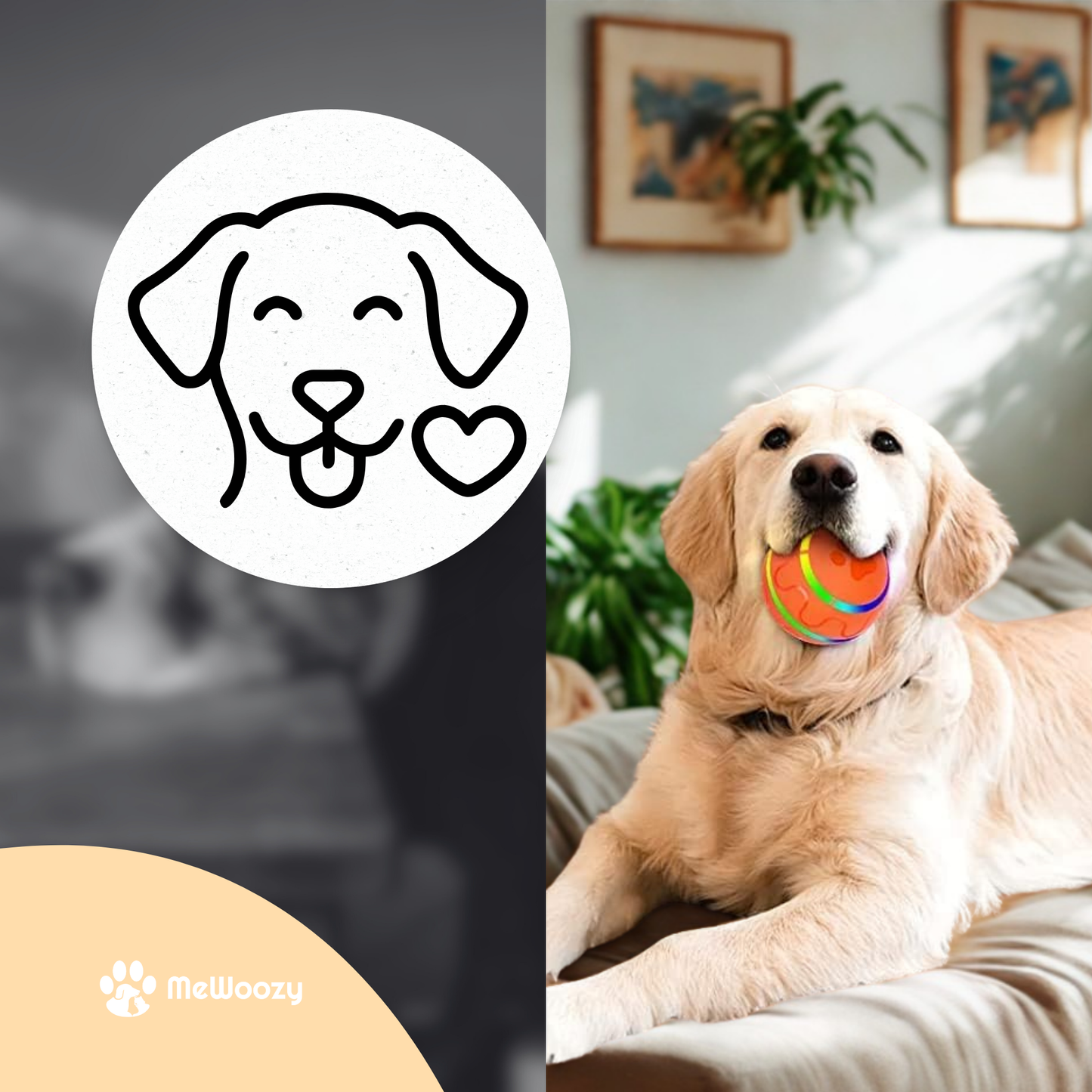 Speelbal Voor Honden – Met Slimme Bewegingssensor