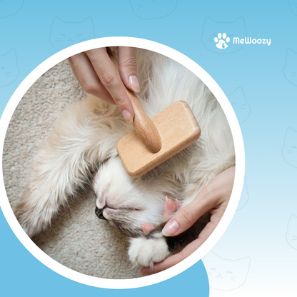 Katten Slickerborstel – Voor Zachte Vachtverzorging