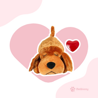 Hond (donkerbruin)