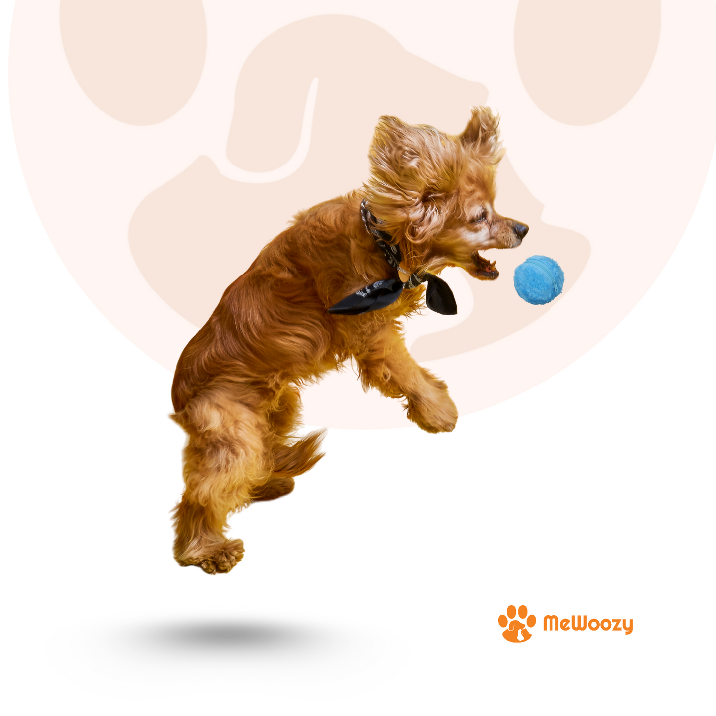 Interactieve Speelbal Voor Honden – Tegen Verveling
