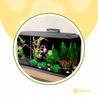 Aquarium Achterwand Zwart – Voor Heldere Kleurweergave