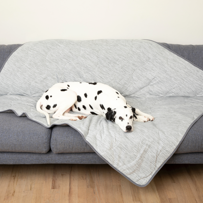 Koel Hondenkleed – Tegen Hitte & Vlekken Beschermend