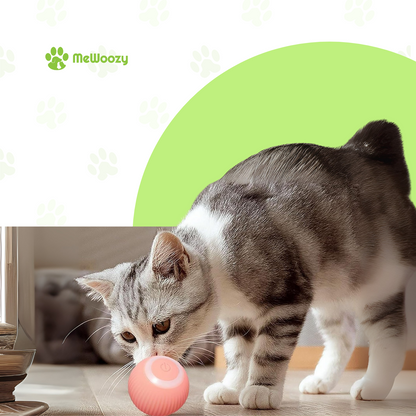 JachtSpeelkleed Voor Katten – Tegen Verveling & Luiheid