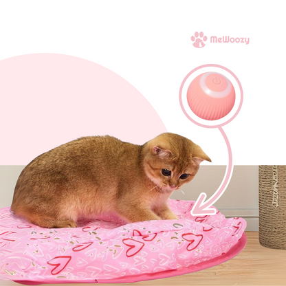 JachtSpeelkleed Voor Katten – Tegen Verveling & Luiheid
