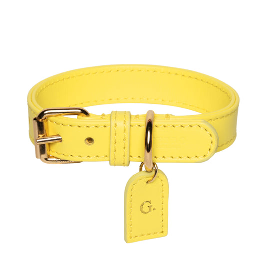 Leren Hondenhalsband Met Naam – Handgemaakt In Italië