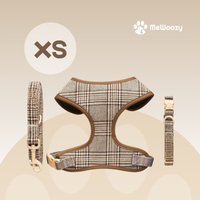 XS