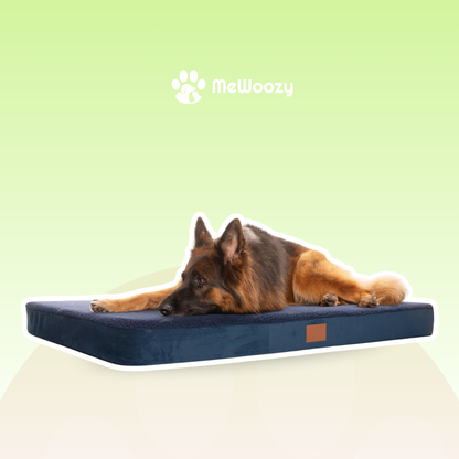 Orthopedisch Hondenbed – Voor Extra Gewrichtsondersteuning
