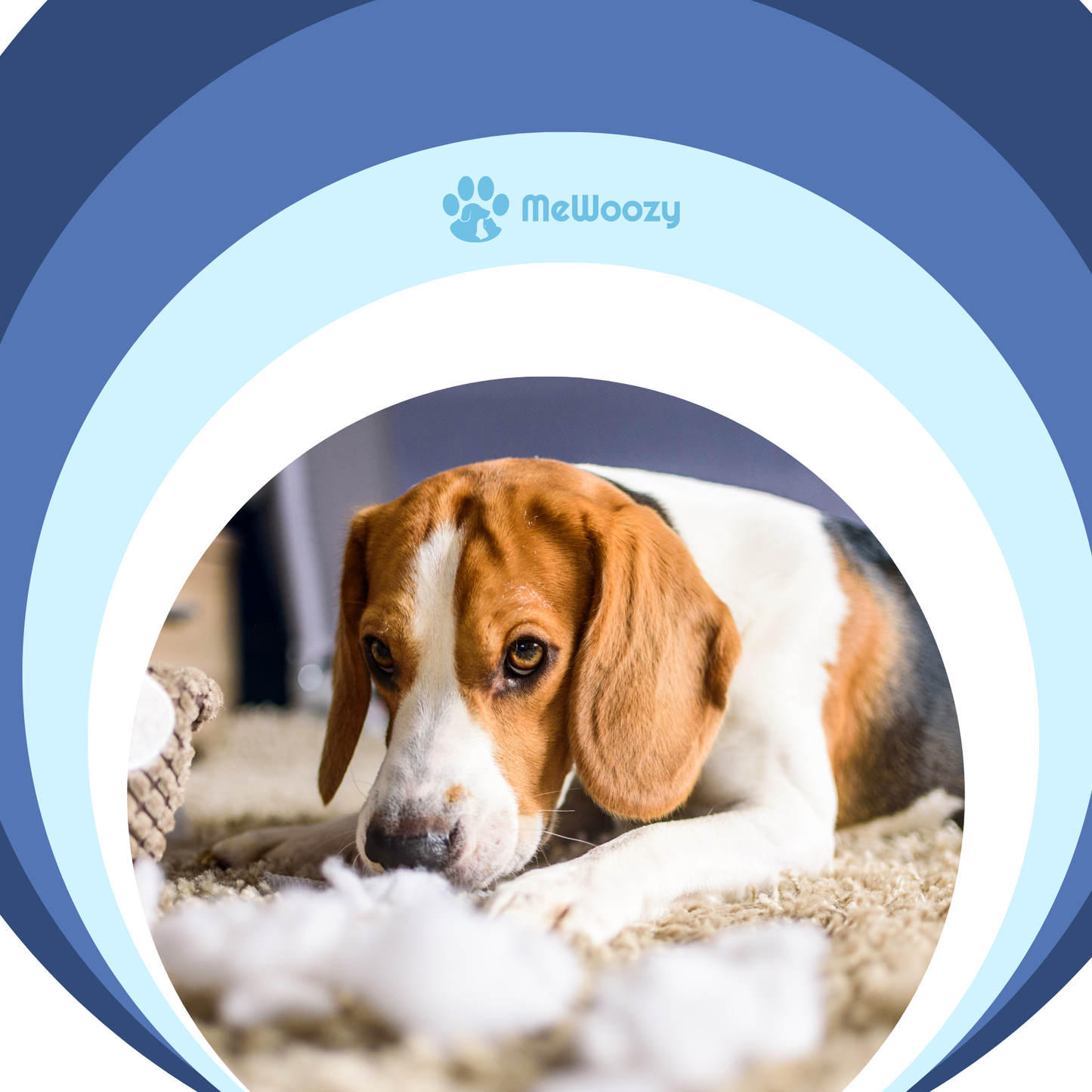 Honden Speelbal Van Nylon – Voor Actieve Viervoeters