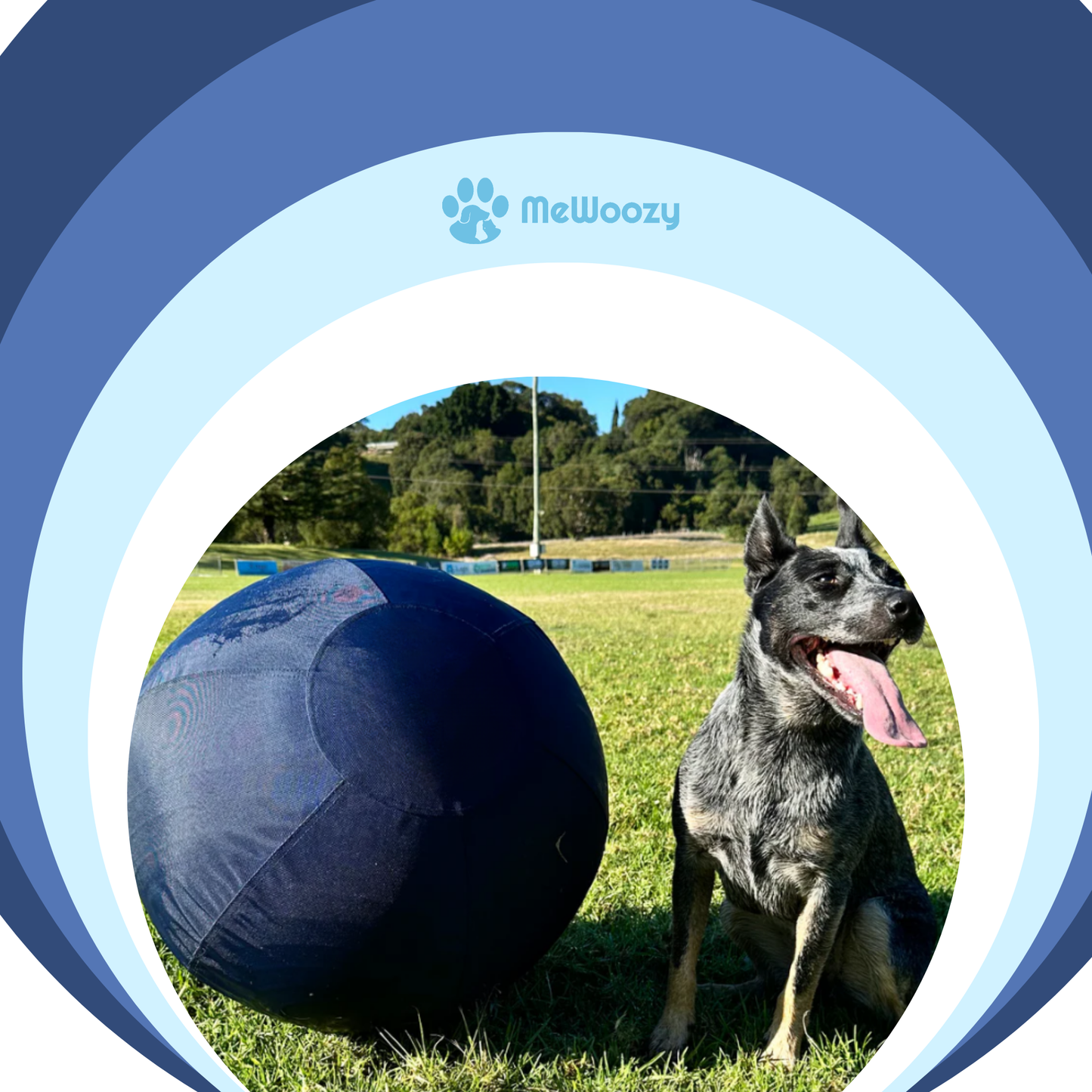 Honden Speelbal Van Nylon – Voor Actieve Viervoeters