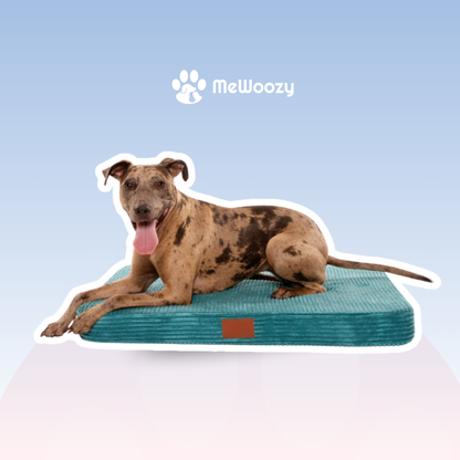 Orthopedisch Hondenbed – Voor Extra Gewrichtsondersteuning