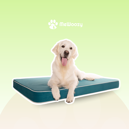 Orthopedisch Hondenbed – Voor Extra Gewrichtsondersteuning