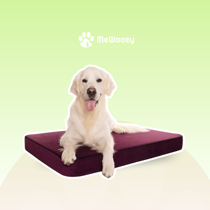Orthopedisch Hondenbed – Voor Extra Gewrichtsondersteuning