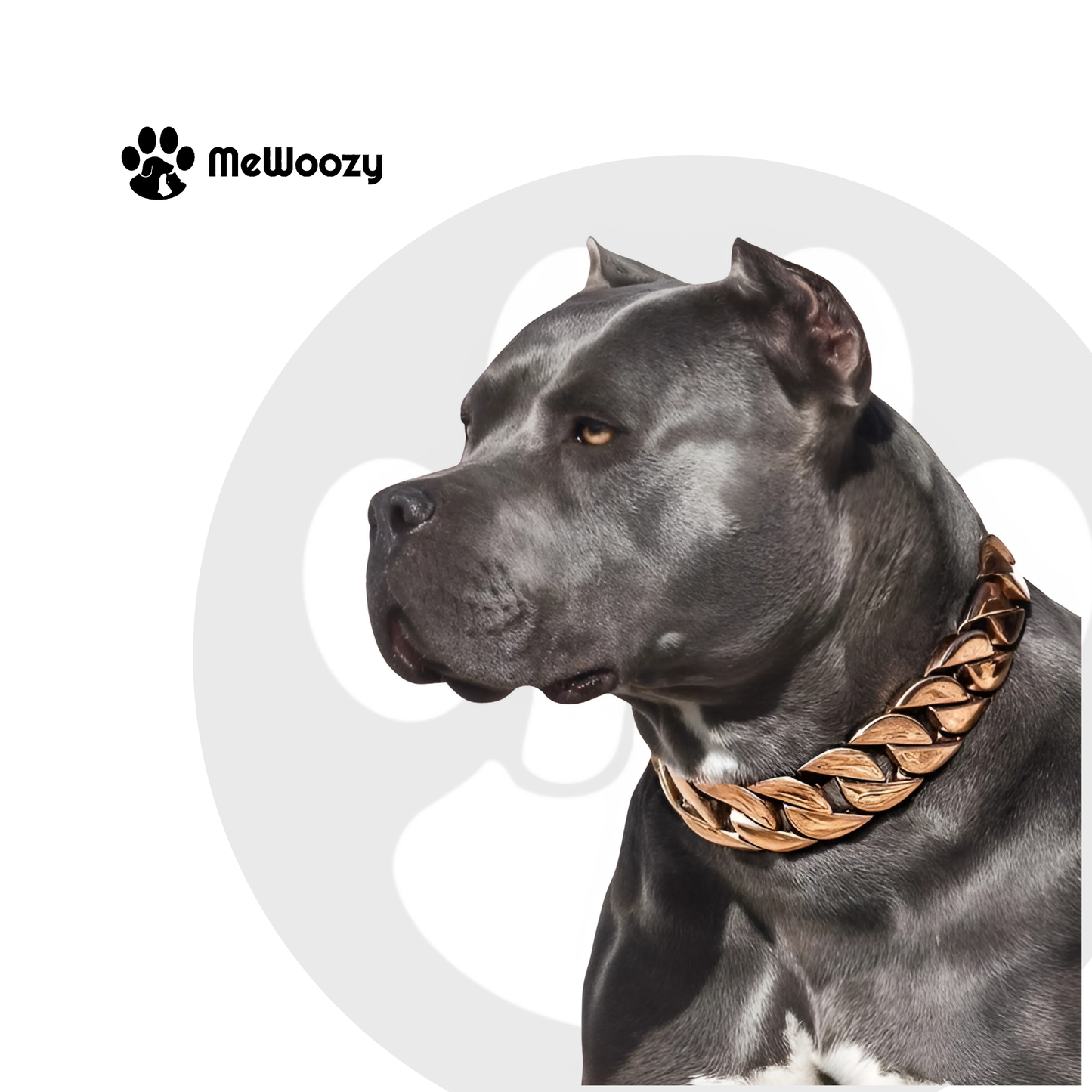 Hond Ketting Met Cuban Schakel – Voor Extra Stijl