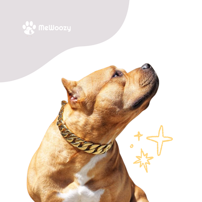 Hond Ketting Met Cuban Schakel – Voor Extra Stijl