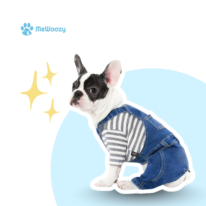 Denim Hondenoverall Met Stretch – Voor Modebewuste Wandelingen