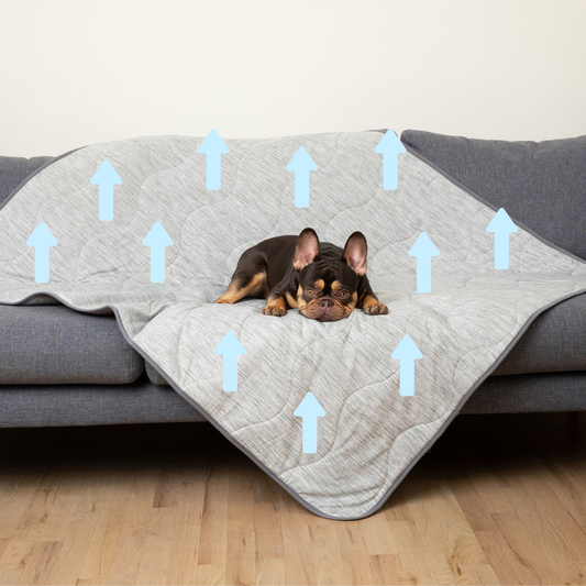 Koel Hondenkleed – Tegen Hitte & Vlekken Beschermend
