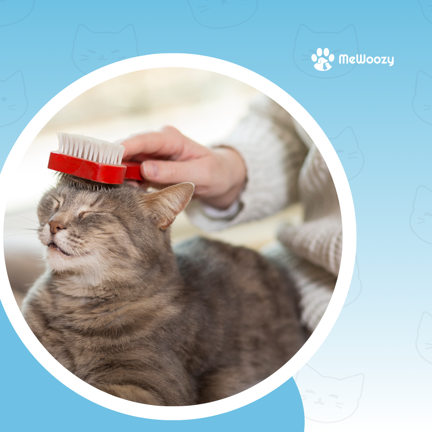 Zelfreinigende Kattenborstel – Voor Zachte En Schone Vacht