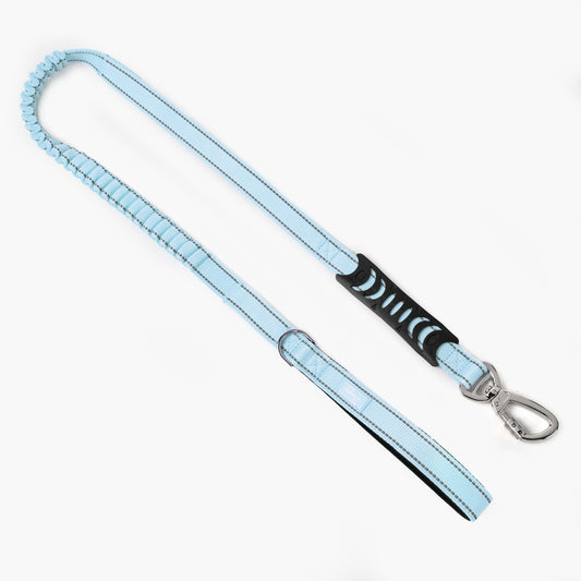 Bungee Hondenriem – Voor Stressvrij Wandelen