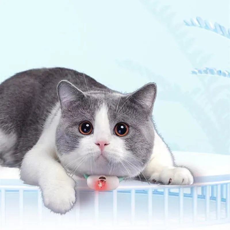 Laser Speelpen Voor Katten – Voor Actieve Jachtmomenten