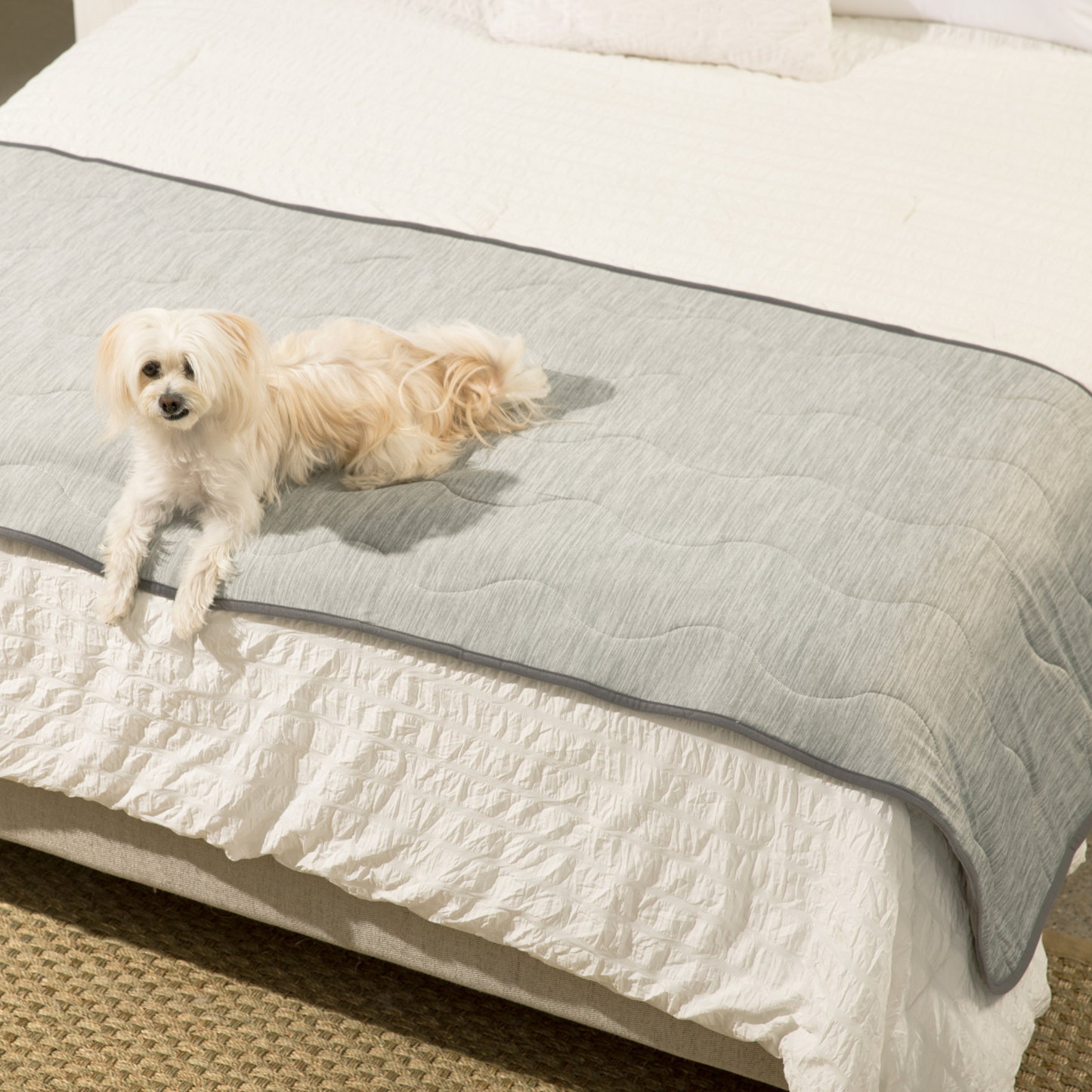 Koel Deken Voor Honden – Tegen Haar & Ongelukjes