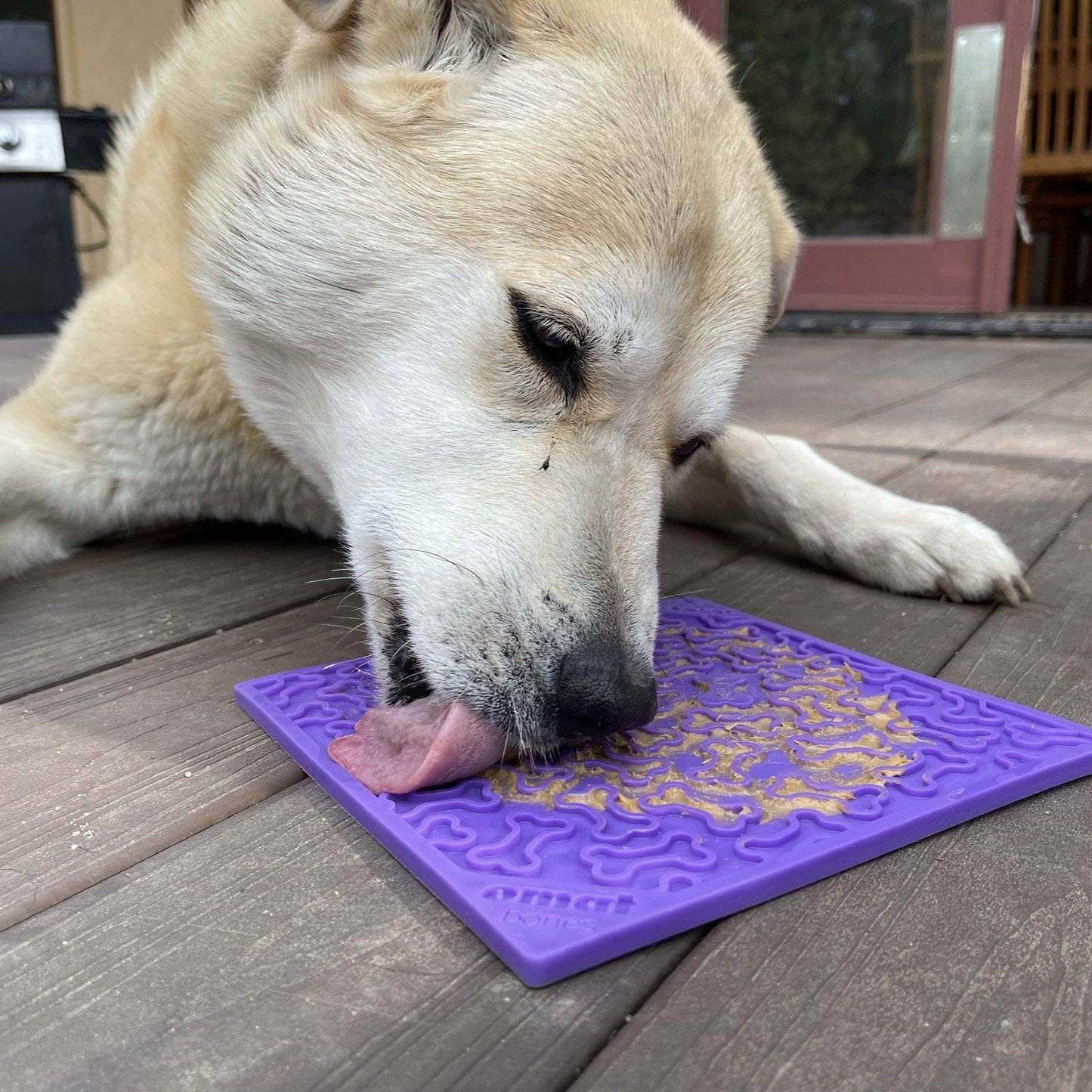Lickmat Voor Honden – Tegen Verveling En Sneller Schrokken