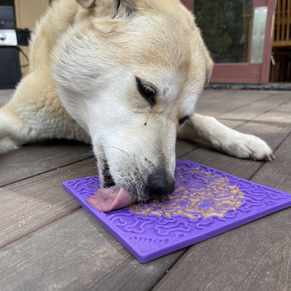 Lickmat Voor Honden – Tegen Verveling En Sneller Schrokken
